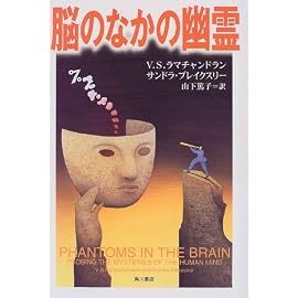 脳のなかの幽霊 (角川21世紀叢書)