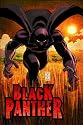 Black Panther Vol. 1: Who Is The Black Panther