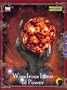 Wonderous Items of Power (d20 System) (Of Power (Fast Forward Entertainment))