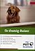   - The Grooming Business