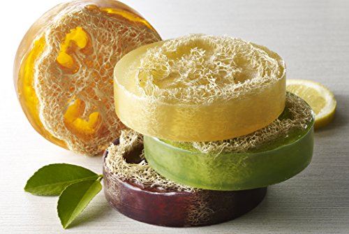Lume Soapworks - Loofah Magic - Grapefruit & Lavender