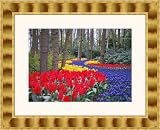 Picture Frame Gold Wave Compo .. 2'' wide