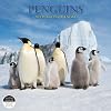 Penguin Calendar
