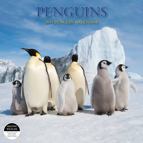 Penguins 2011 Calendar