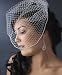 Ivory Swarovski Rhinestone Edge Cage Wedding Veil