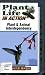 Plant Life in Action Plant & Animal Interdependency