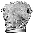 Brainfreeze Glass Skull Ice Bucket - 54 oz