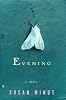 Evening