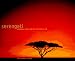 Search : Serengeti: Natural Order on the African Plain