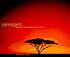 Serengeti: Natural Order on the African Plain