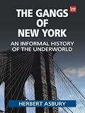 The Gangs of New York: An Informal History of the Underworld