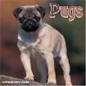 Pugs 2007 Wall Calendar