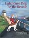 Search : Lighthouse Dog to the Rescue