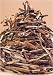 Gourmet Food : Shiitake Matchsticks 16 oz.
