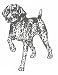   - Dog Rubber Stamp - German Short Hair Pointer - 1E