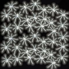 50 nachtleuchtende Spinnen 23615