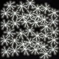 50 nachtleuchtende Spinnen 23615