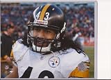 Pittsburgh Steelers Troy Polamalu 8x10 Photo File Picture Close-up