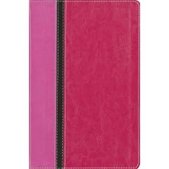 NIV | The Message® Parallel Study Bible, Personal Size: Updated Numbered Edition