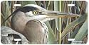 Lord of the Marshes - Blue Heron - Wildlife Decor Art Print - License Plate Tag By Carl Brenders From Airstrike