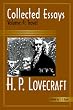 Collected Essays 4: Travel