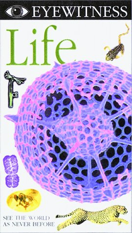 Eyewitness - Life