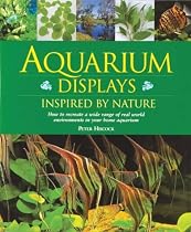 Aquarium Displays Inspired by Nature