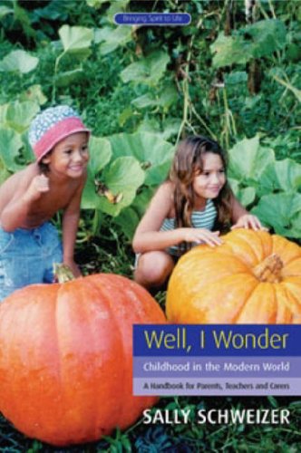 Well I Wonder: Childhood in the Modern World, a Handbook for Parents, Teachers and Carers (Bringing Spirit to Life)