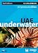 UAE Underwater