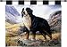 Bernese Mountain Dog Wall Hanging - 26 x 34 Wall Hanging