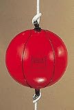 Everlast Double End Speed Bag