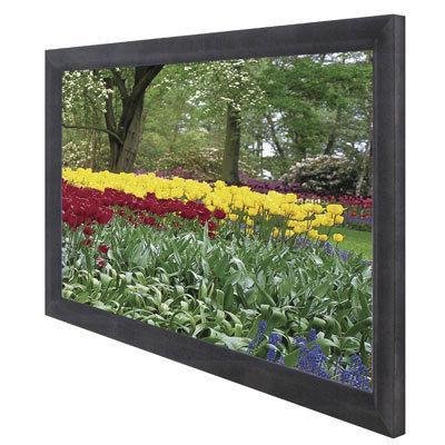 Best Price Elite Screens EzFrame Fixed Frame Projection Screen, 16:9 Aspect Ratio - 100in. (Cine White)