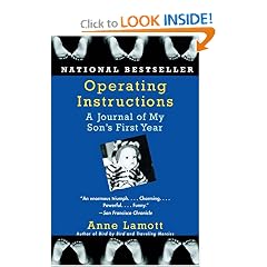 Operating Instructions: A Journal of My Son's First Year