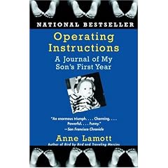 Operating Instructions: A Journal of My Son's First Year
