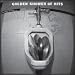 Golden Shower of Hits [Vinyl]