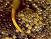 Osetra Caviar Prime 