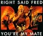 You're My Mate