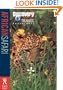 African Safari (Discovery Travel Adventures)
