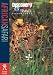African Safari (Discovery Travel Adventures)
