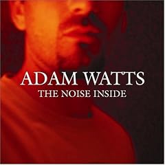 Noise Inside