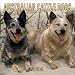 Australian Cattle Dogs 2004 Calendar