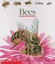 Bees (First Discovery)