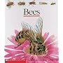 Bees (First Discovery)