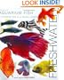 Focus on Aquarium Fish