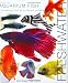 Focus on Aquarium Fish: Freshwater
