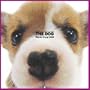 Artlist Collection the Dog 2005 Calendar Welsh Corgi (Multilingual Edition)