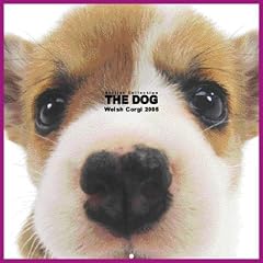 Artlist Collection the Dog 2005 Calendar Welsh Corgi