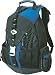 Targus TSB315 16 Sport Deluxe Computer Backpack- Blue/Black