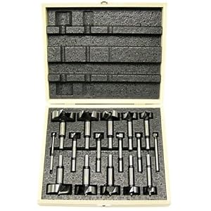 Freud FB-100 16-Piece Diablo Forstner Bit Set by Freud