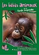 Les B�b�s animaux des for�ts tropicales